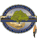 Pretty Shield Foundation